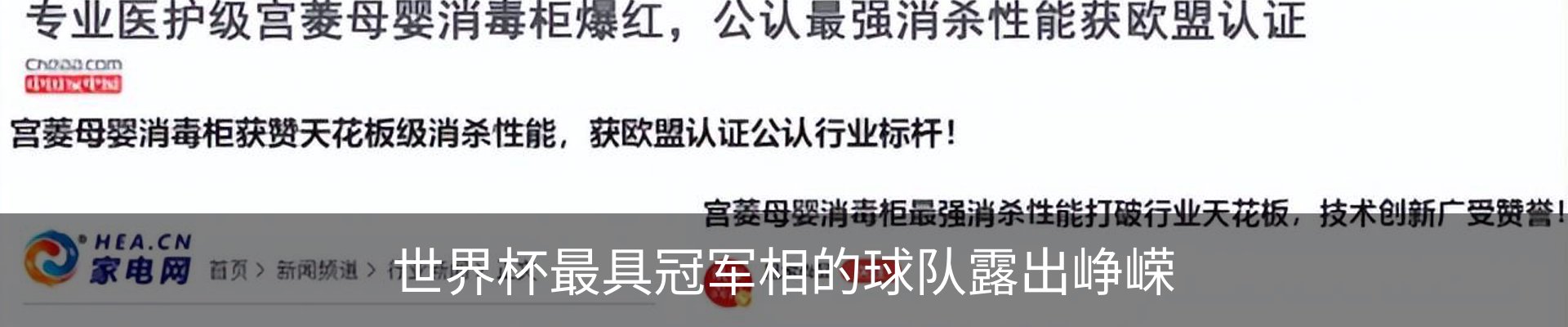 新闻动态