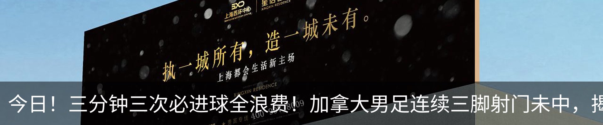新闻动态