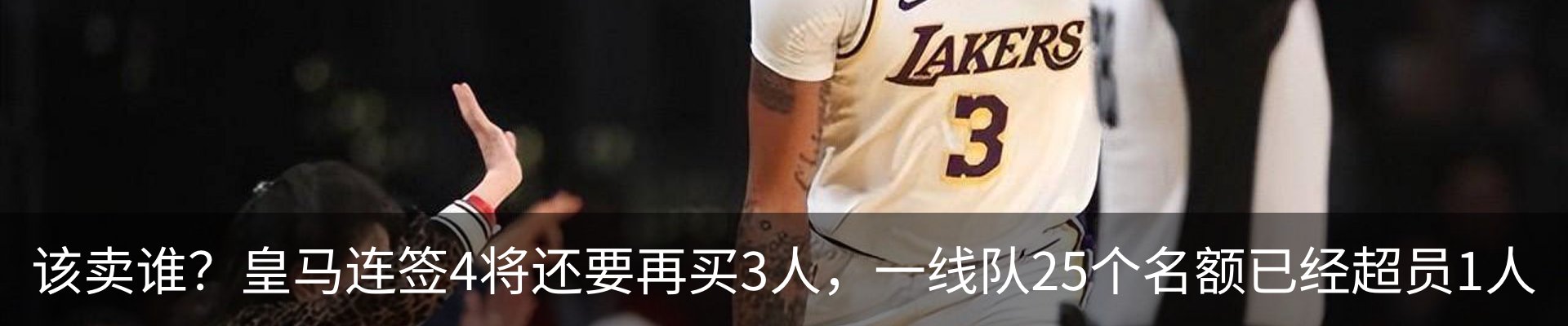 新闻动态