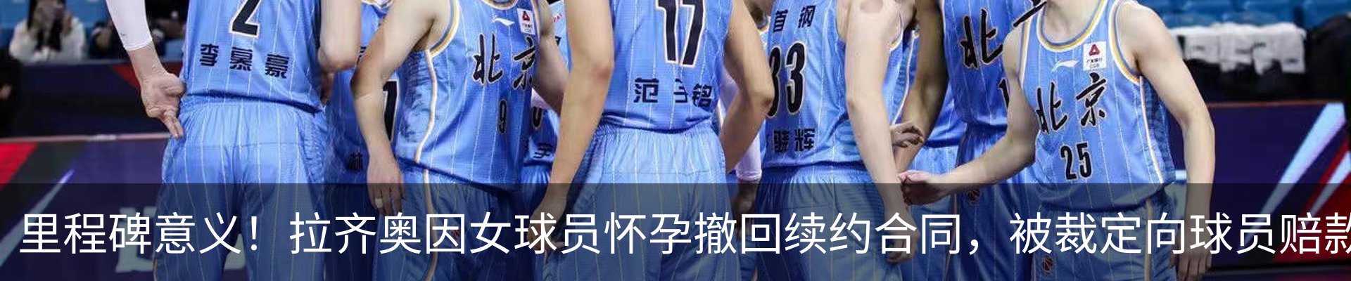 新闻动态