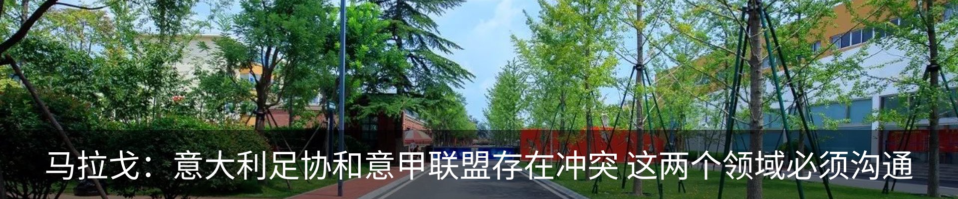 新闻动态